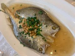 梅黄豆蒸黄鱼鲞-新镇江酒家(南京西路店)