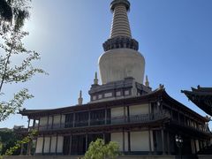 -张掖大佛寺景区