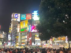 -涩谷区