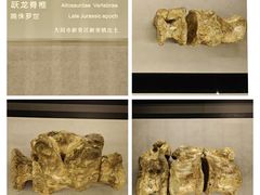 -大同市博物馆