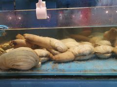 -谊荣海鲜大牌档(石湖店)