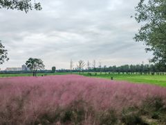 -汉长安城未央宫国家考古遗址公园