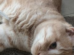 -嘉馨宠物医院·CT影像转诊·心脏科·犬猫全科诊疗中心(下沙大学城院区)