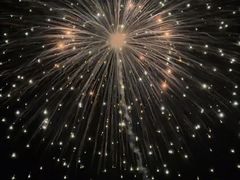 -大地红烟花爆竹经营部