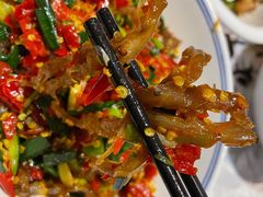 鸭掌筋-壹盏灯(惠农店)