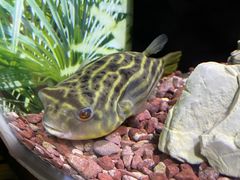 -上海海洋水族馆