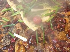 -老板恋上鱼(恒隆广场店)