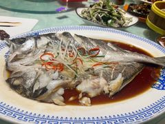 -全聚德(胜利大街店)