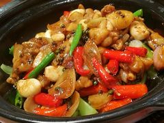 石锅藤椒美蛙-云天楼国鼎喜宴中心(国鼎店)