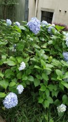 -东航云逸酒店·宴会厅