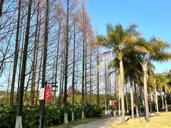 -江心屿景区