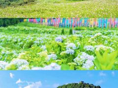-乌蒙大草原