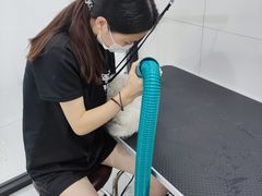 -1013 PET SHOP 宠物商店(近铁城市广场店)