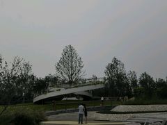 -武清南湖绿博园