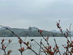 景观位-柳莺湖上·湖景餐厅·江南菜(西湖店)