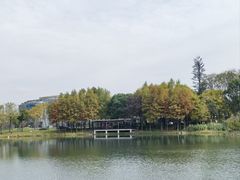 -尚贤河湿地