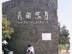 -秀丽东方