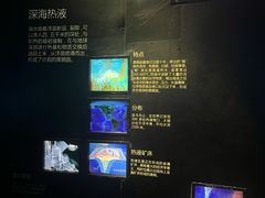 -同济大学四平路校区深海探索馆