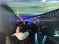 -白鹤梁水下博物馆