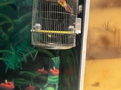 -天河城购物中心