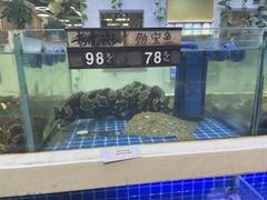 -大众海鲜(巨龙北路店)