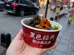 -黑色经典臭豆腐·湖南特产(坡子街店)