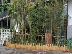 -扫雪煮茶(西村店)