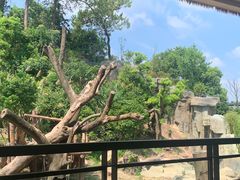 -宁波野生动物园