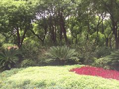 -新湖明珠城