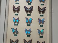 -陕西自然博物馆