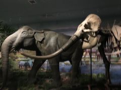 -湖南省地质博物馆