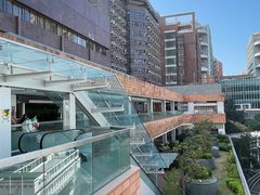 -香港大学