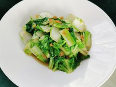 菜圃小白菜-天毓山庄·餐厅