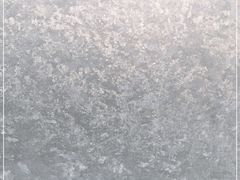 -新湖明珠城