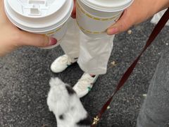 -五进制 Coffee Shop