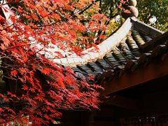 -杭州半山国家森林公园