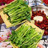 港式➕成都🍲又潮又辣的火锅店