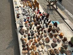 -中环花鸟鱼虫市场