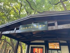 -马王堆汉墓遗址