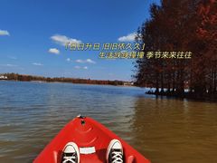 -上海海湾国家森林公园