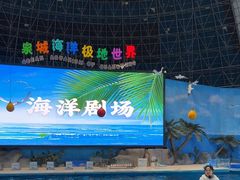 -泉城欧乐堡海洋极地世界