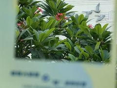 -广州花园酒店