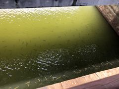 -白塘生态植物园