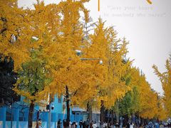 -四川大学(华西校区)