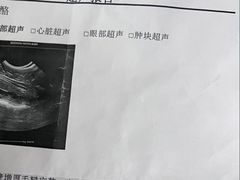 -伟伟宠物医院·CT影像中心·瑞派犬猫综合性门诊(汉口总院)