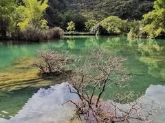 -靖西鹅泉风景区