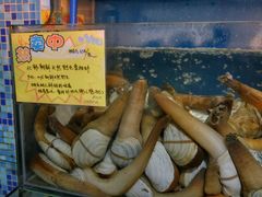 -蚝专家(北滘店)
