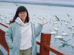-烟墩角天鹅湖