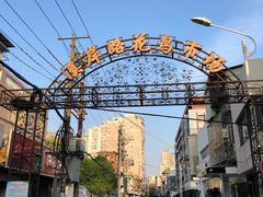 -溪岸路花鸟市场