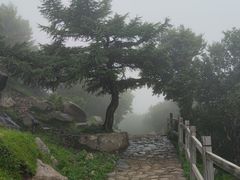 -灵山